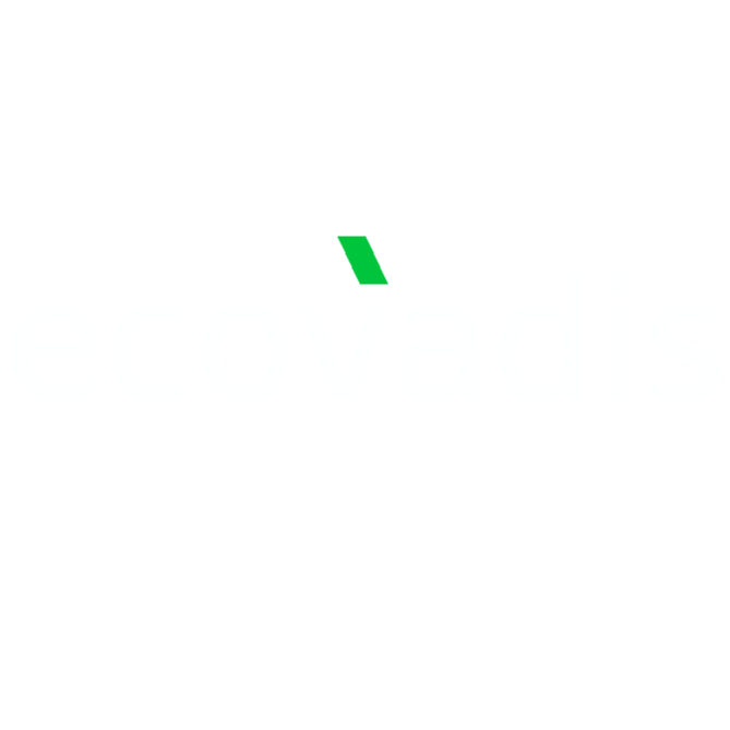 04_EcoVadis_logo-1.png
